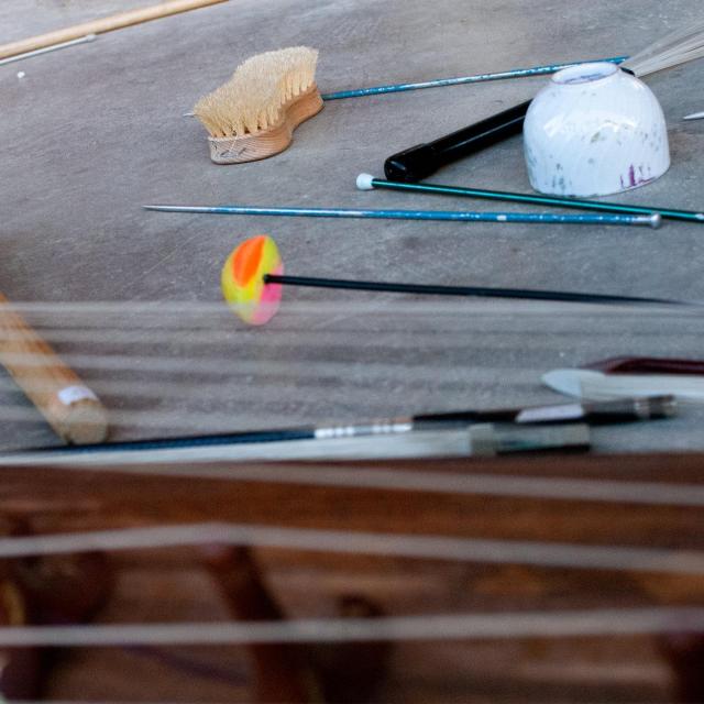 Sylvain Monchocé's gayageum