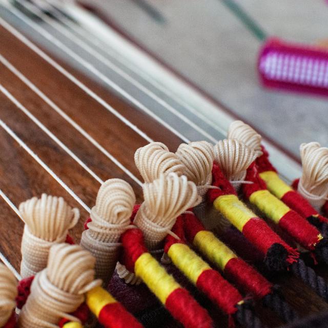 Sylvain Monchocé's gayageum