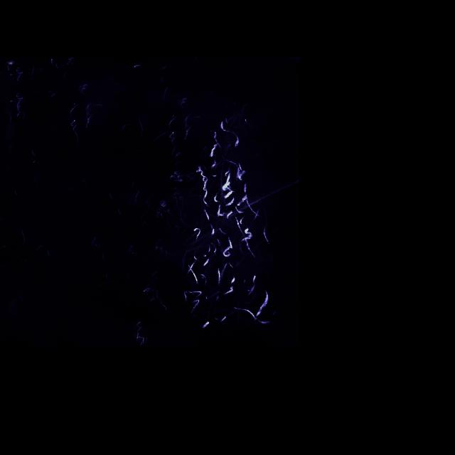 Contours d'un imaginaire illustration