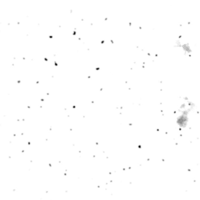 Pensées Silencieuses album cover