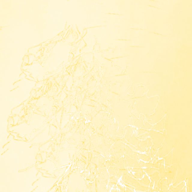Interfolding pieces album cover